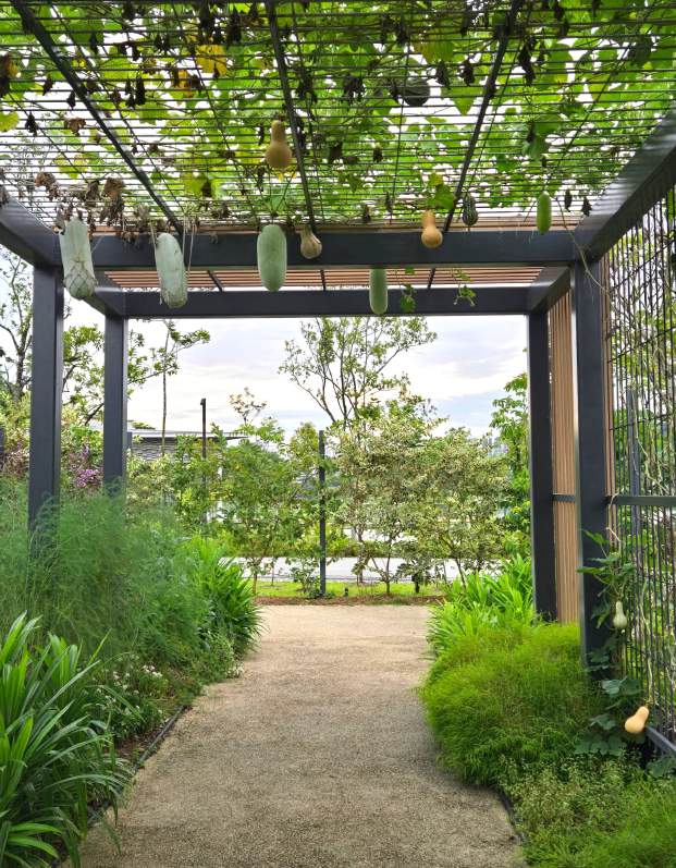 Chinese Gardens, Jurong Lake Gardens