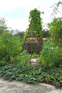 Chinese Gardens, Jurong Lake Gardens