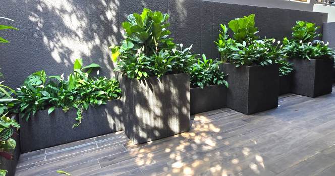 Lush shade gardens on ground floor and bedroom balcony