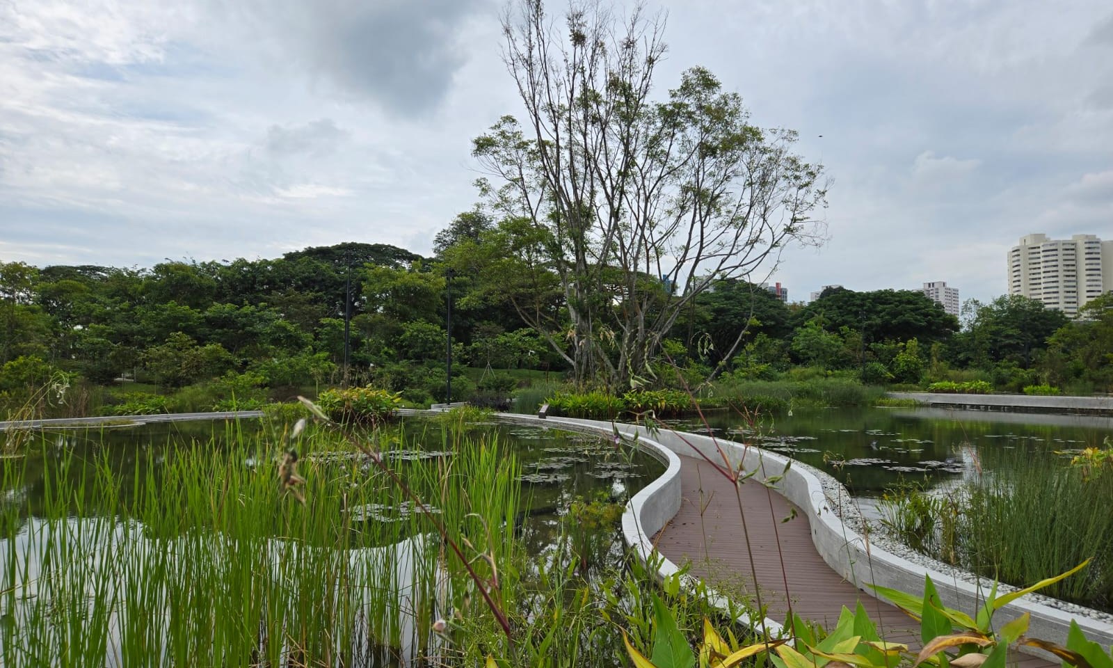 Japanese Gardens, Jurong Lake Gardens