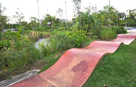 Lake North Garden, Jurong Lake Gardens