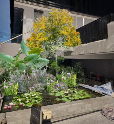 Green tropical garden